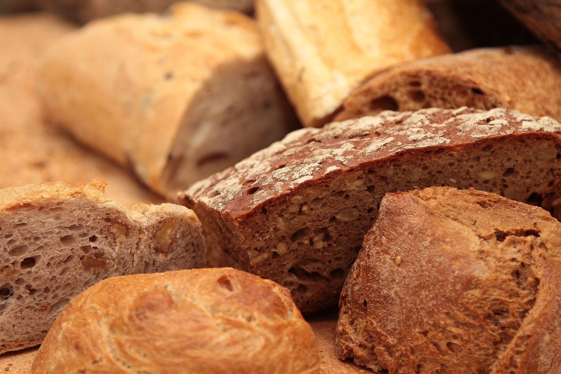 כל מה שרציתם לדעת על לחם מקמח מלא
